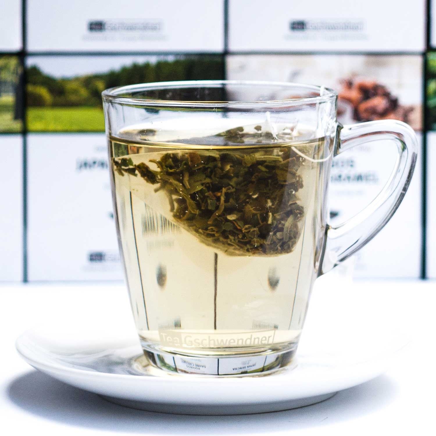 Darjeeling Pussimbing First Flush Bio/Naturland (MasterBag® Pyramid)