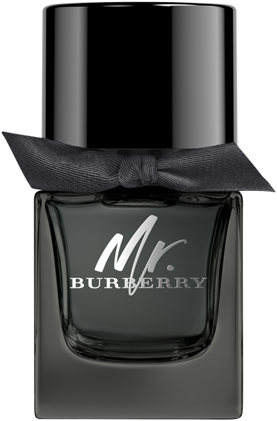 Burberry Mr. Burberry EdP Nat. Spray