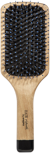 Hair Rituel by Sisley La Brosse