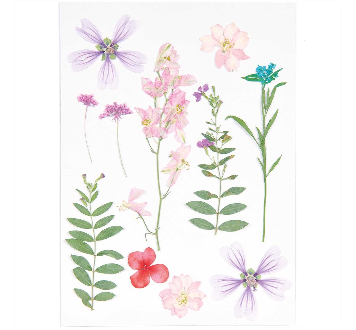 Rico Design Mix Set gepresste Blüten 'Rosa Violett'