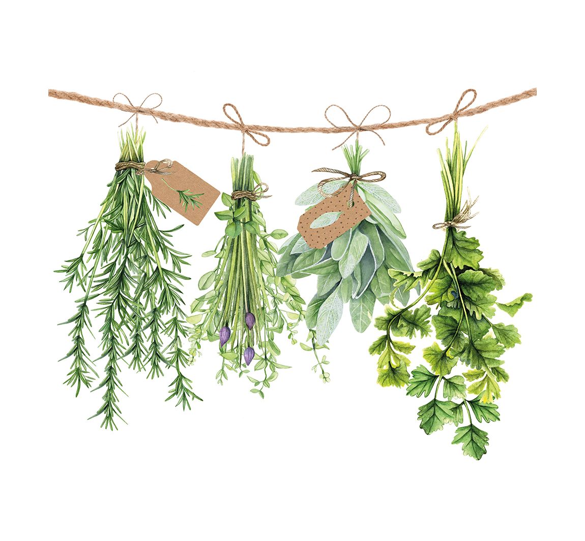 Serviette 'Frische Kräuter' - 20 Stück