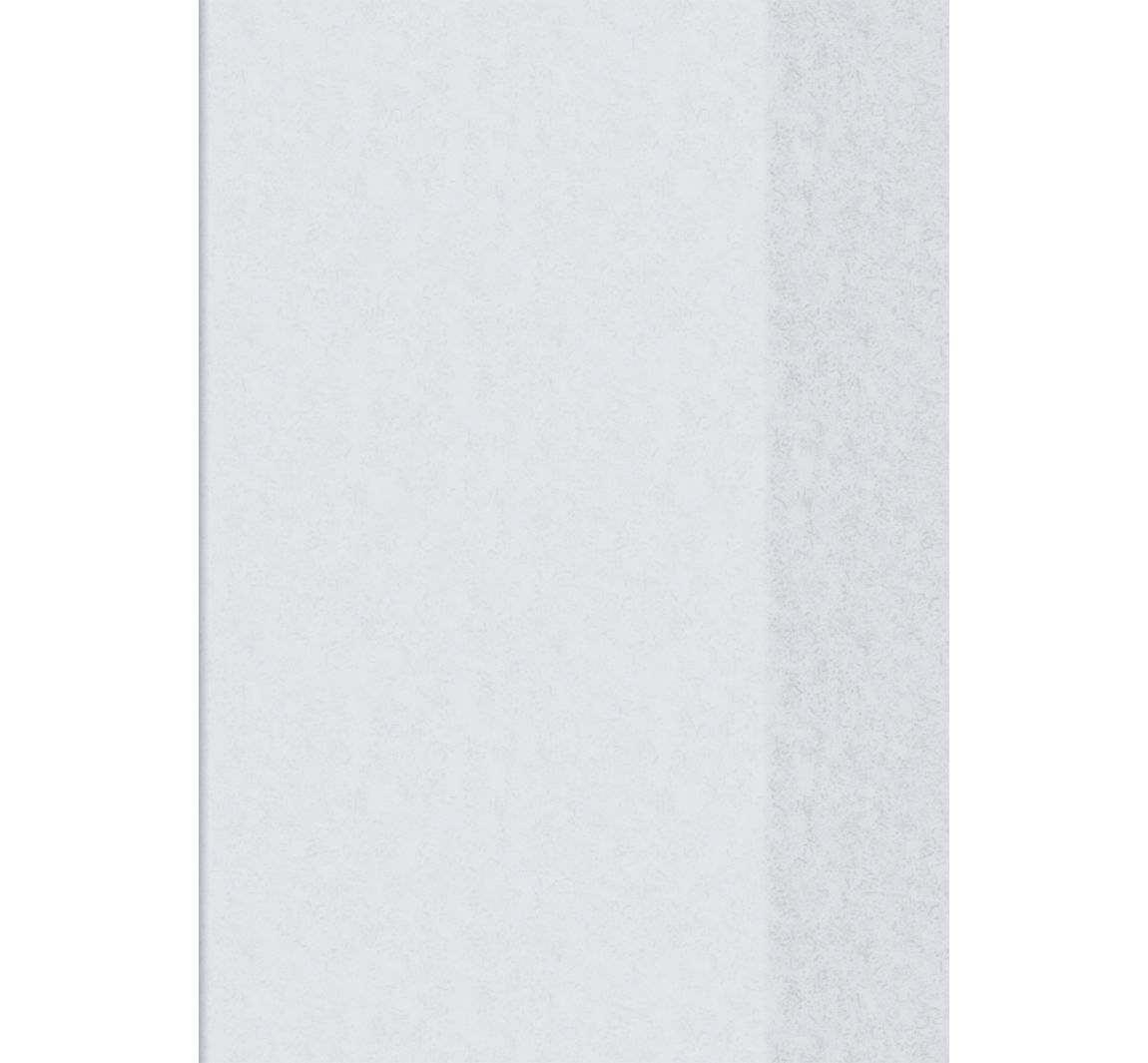 Brunnen Hefthülle - DIN A4