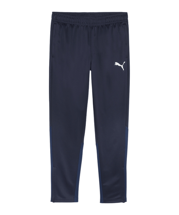 PUMA teamGOAL Training Jogginghose Blau F06