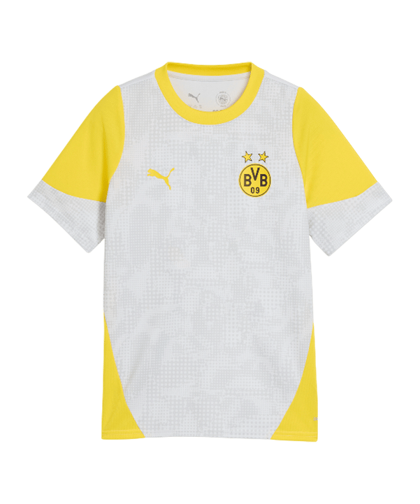 PUMA Borussia Dortmund Trainingsshirt Kids Grau F18