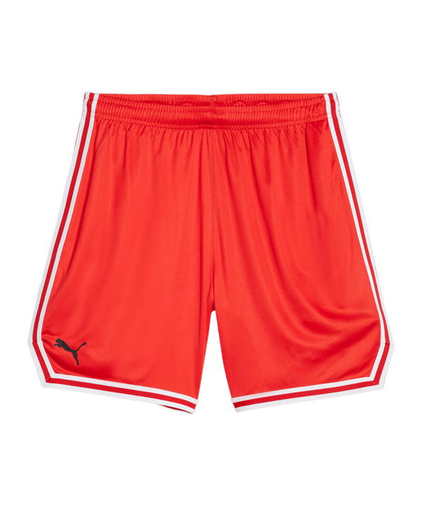 PUMA Hoops Team Game Short Rot F04