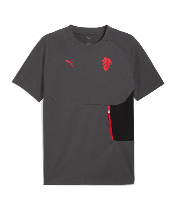 PUMA AC Mailand Pumatech Pocket T-Shirt Grau F15
