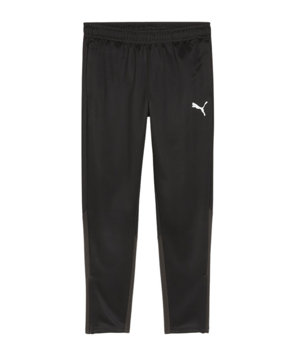 PUMA teamGOAL Training Jogginghose Schwarz F03