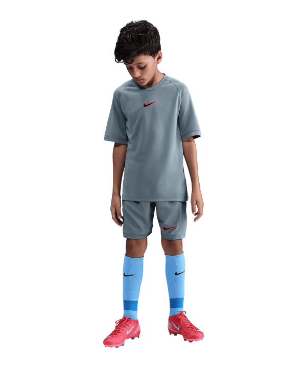Nike Academy 25 Trikot Kids Grau F065