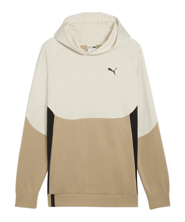 PUMA Tech Fleece Hoody Braun F83