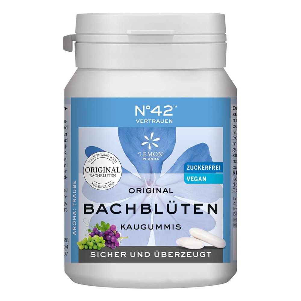 Energie Kaugummi nach Doktor bach