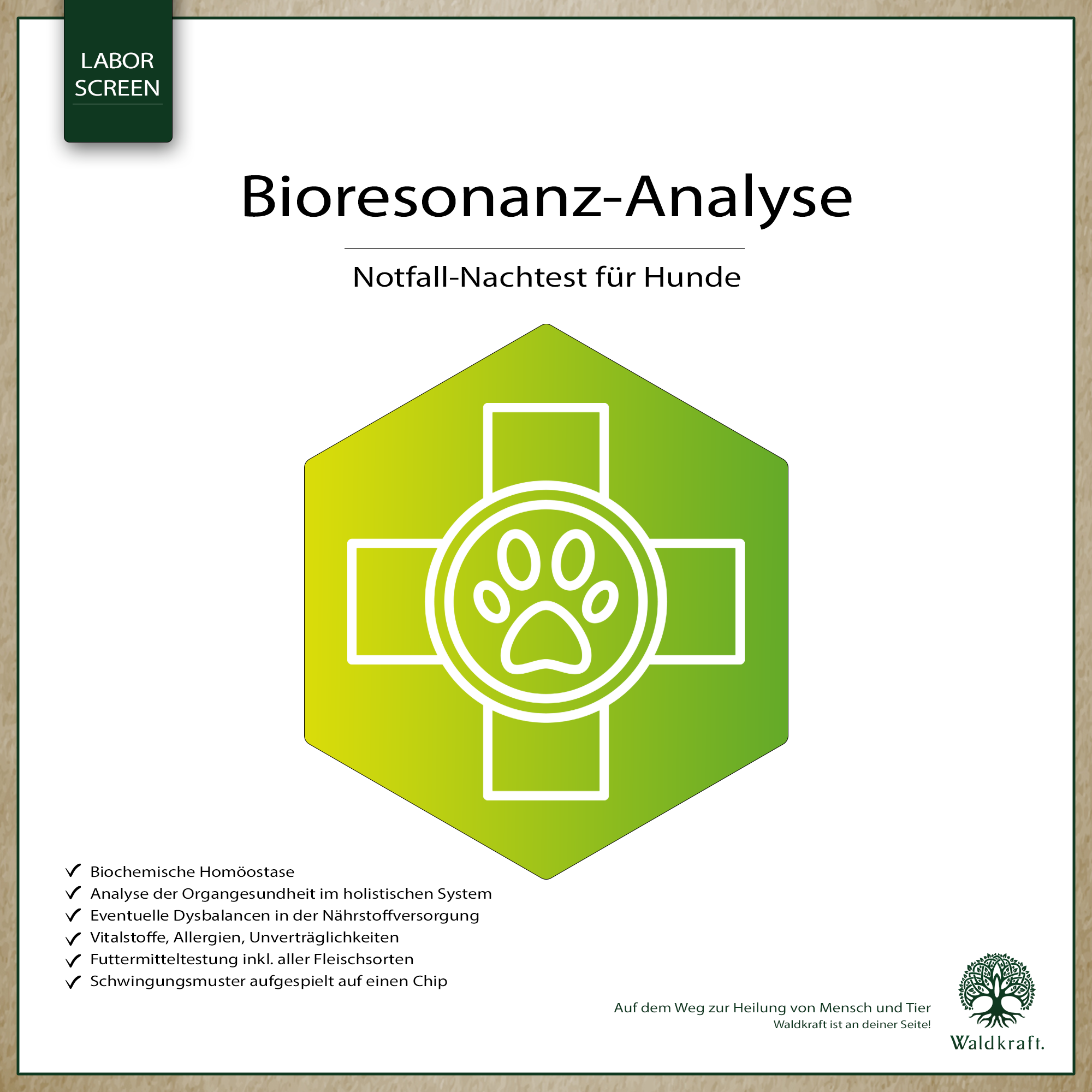 Bioresonanz-Analyse Hund Notfall-Nachtest