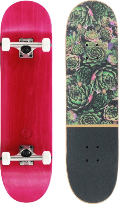 BTFL PLANTS Skateboard 2026
