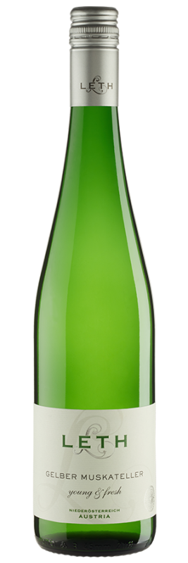 young & fresh Gelber Muskateller Niederösterreich Bio (2023) - Leth - Weißwein aus Österreich