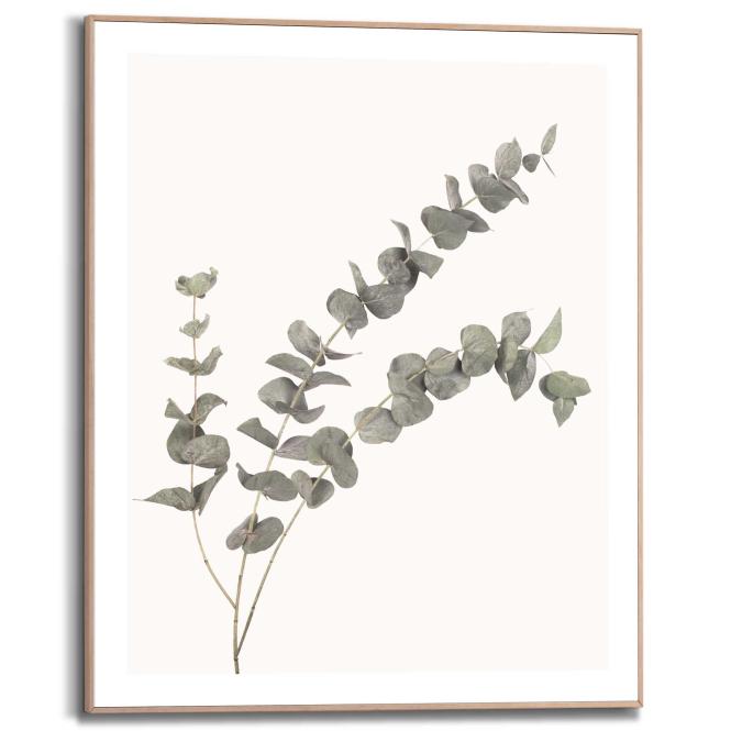 Wandbild EUCALYPTUS Slim Frame Wood ca. 40x50 cm SMF84843
