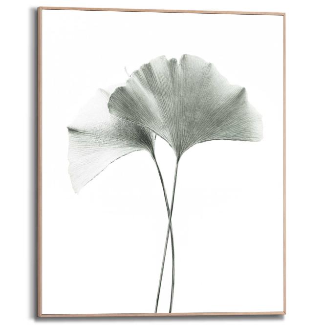 Wandbild GINKGO Slim Frame Wood ca. 40x50 cm SMF86321