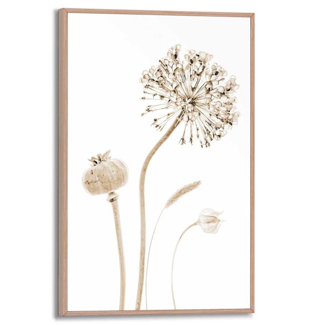 Wandbild FLOWER stills Slim Frame Wood ca. 20x30 cm SMF87250