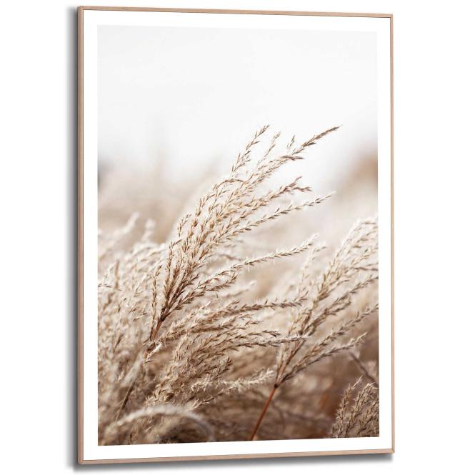 Wandbild FIELD Grass Slim Frame Wood ca. 50x70 cm SMF87289