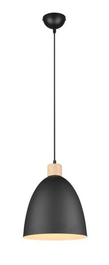 Pendelleuchte JAGGER 1xE27 ohne Leuchtmittel von REALITY Leuchten R30681032 Schwarz