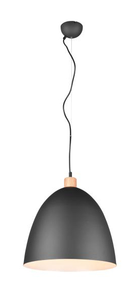 Pendelleuchte X JAGGER 1xE27 von REALITY Leuchten R30681932 Schwarz