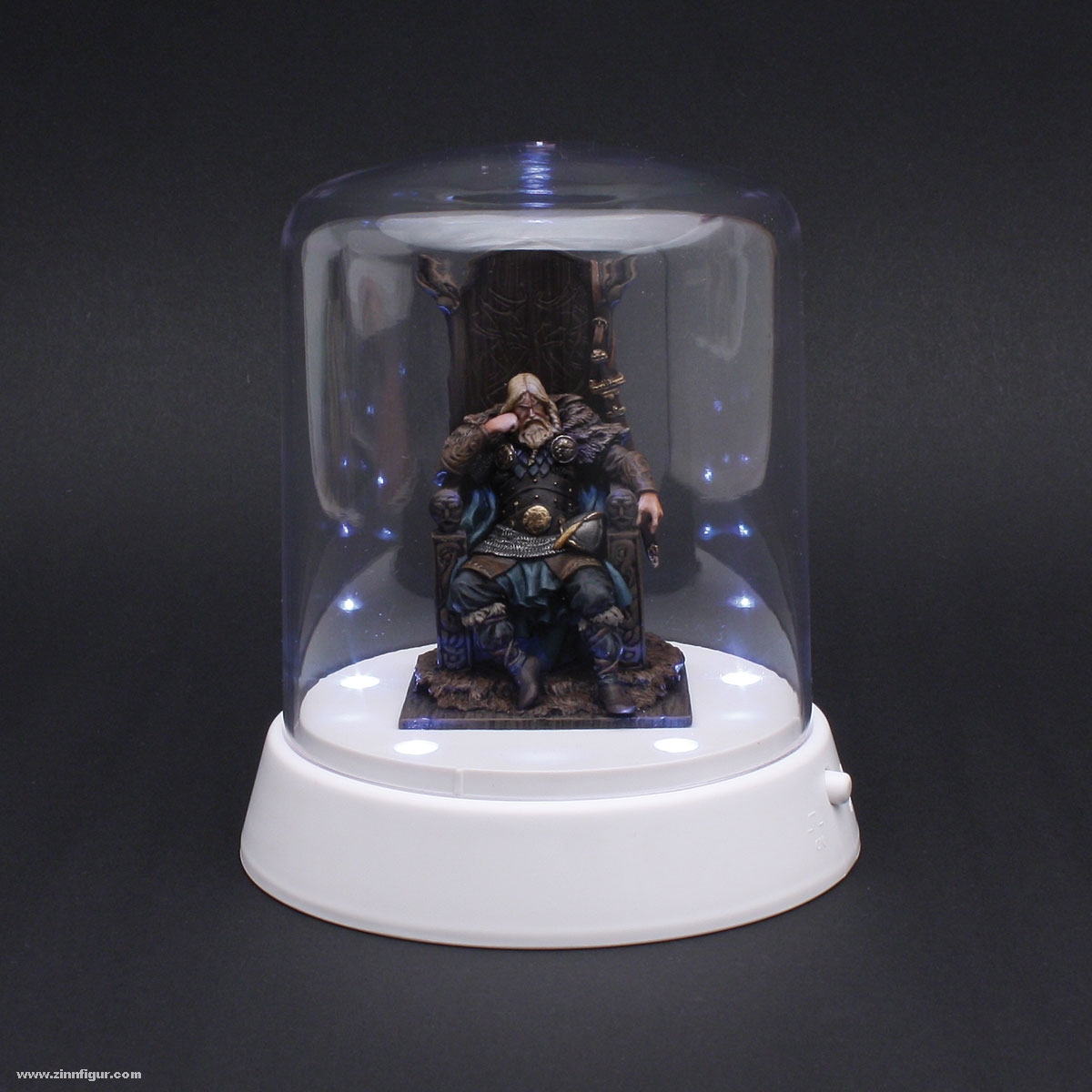 Trumpeter LED-Display mit gewölbtem Deckel 84 x 115 mm