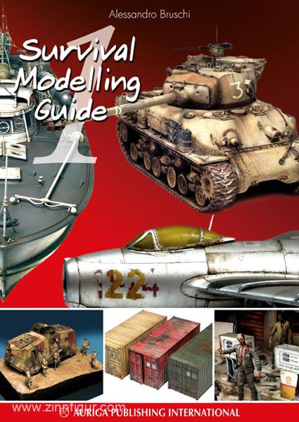 Auriga Publishing Bruschi, A.: Survival Modelling Guide. Band 1