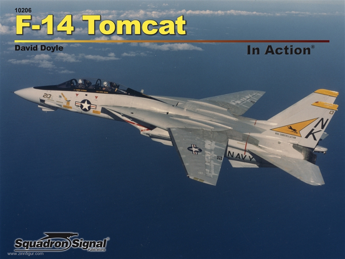 Squadron / Signal Doyle, David: F-14 Tomcat in Action