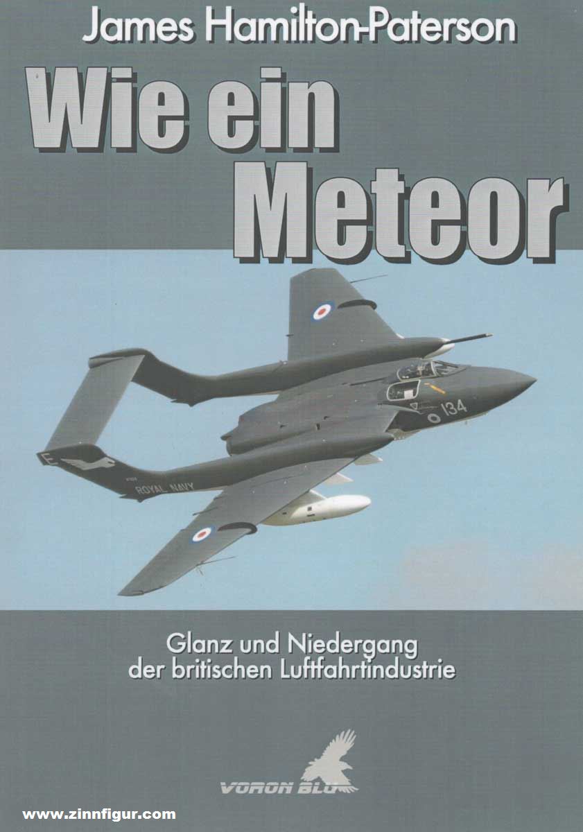 Voron Blu Hamilton-Paterson, James: Wie ein Meteor. Glanz und Niedergang der britischen Luftfahrtindustrie