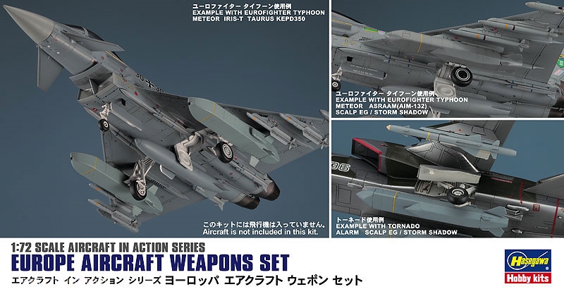 Hasegawa Europäische Waffen Set