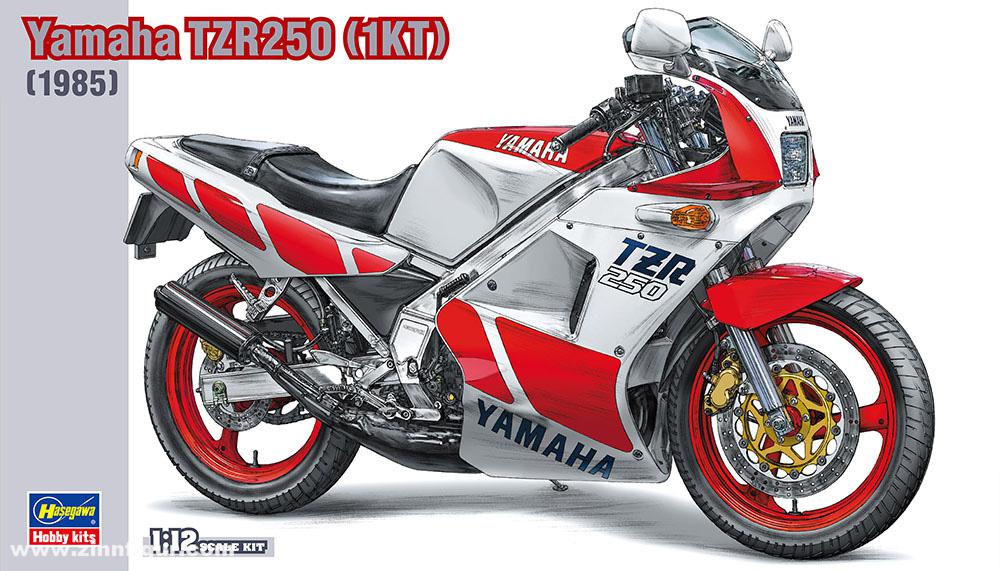 Hasegawa Yamaha TZR250 1KT