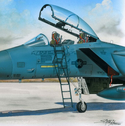 Plus Models Leiter für F-15