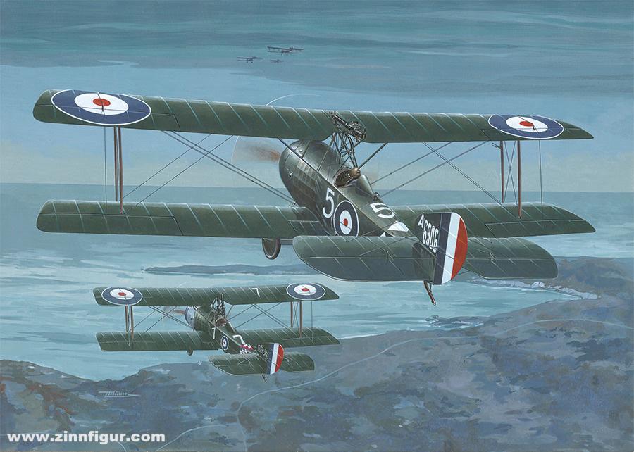 Roden Sopwith 1 1/2 Strutter Comic