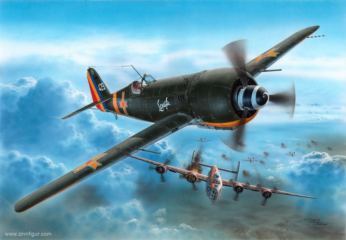 Special Hobby IAR.81C