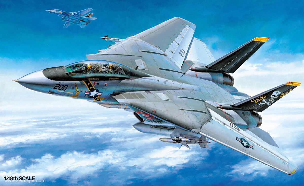 Tamiya Grumman F-14A Tomcat