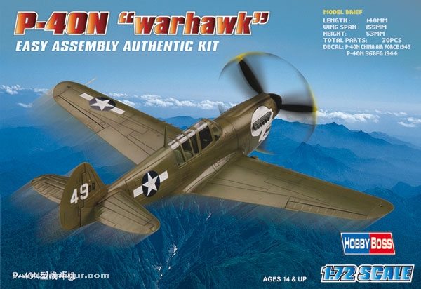Hobby Boss P-40N Warhawk