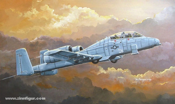 Hobby Boss N/AW A-10A Thunderbolt II