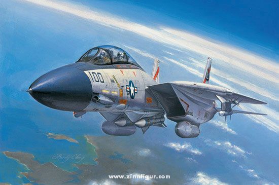 Hobby Boss F-14A Tomcat