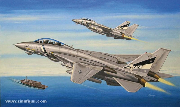 Hobby Boss F-14D Super Tomcat