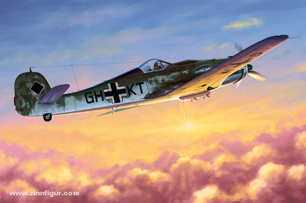 Hobby Boss Focke-Wulf Fw 190D-10