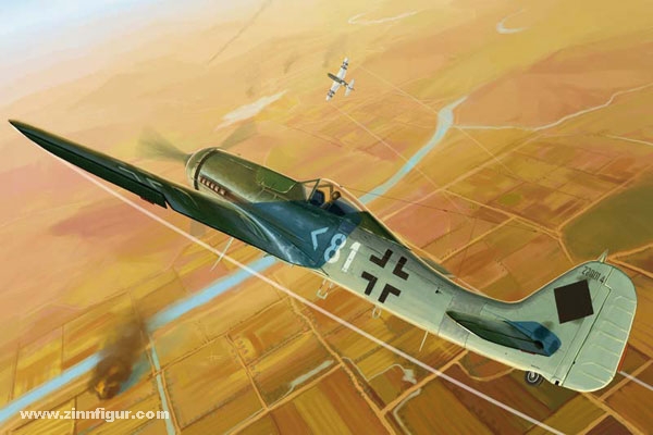 Hobby Boss Fw 190D-11