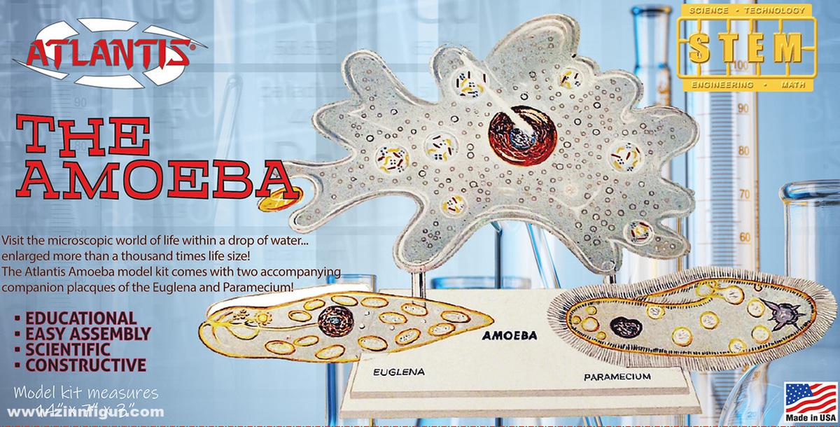 Atlantis Models 'Die Amöbe'