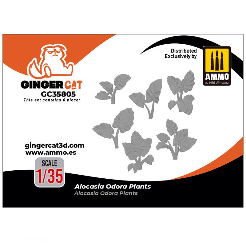 Ginger Cat 1/35 Alocasia Odora Pflanzen (6 Stück)