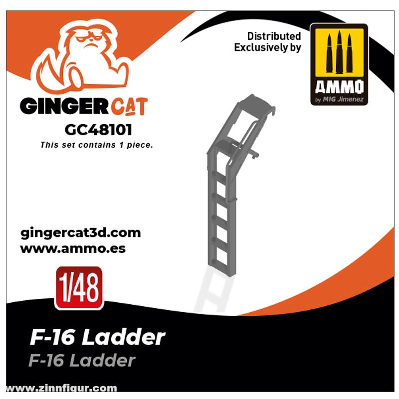 Ginger Cat 1/48 F-16 Leiter (1 Stück)