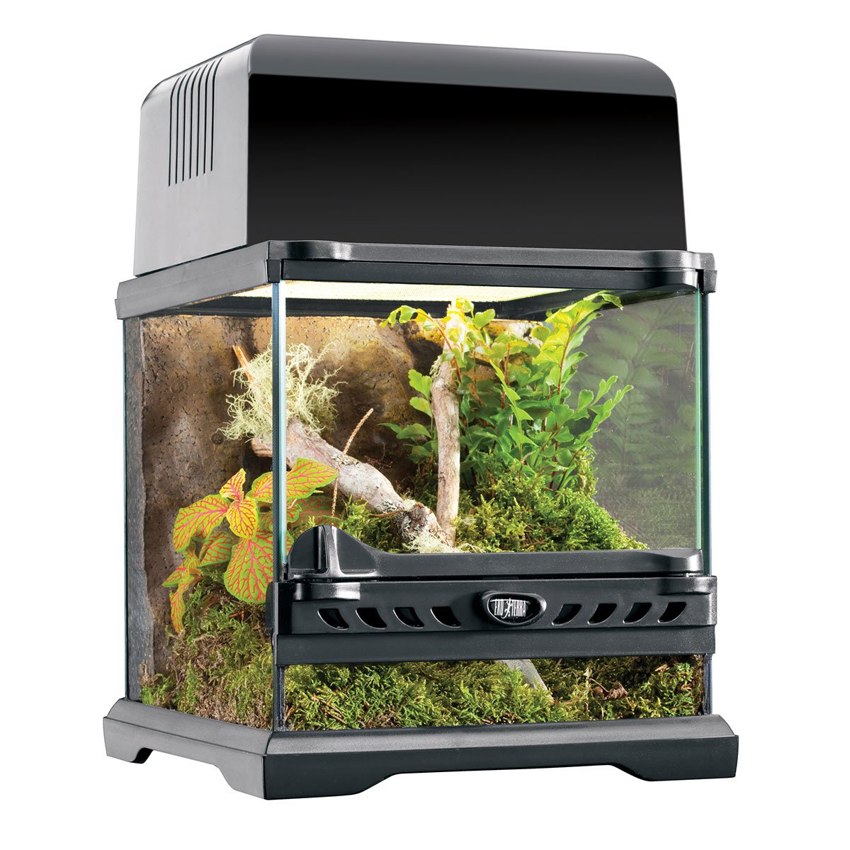 Exo Terra Natural Nano-Terrarium 'Wide' 20x20x20cm