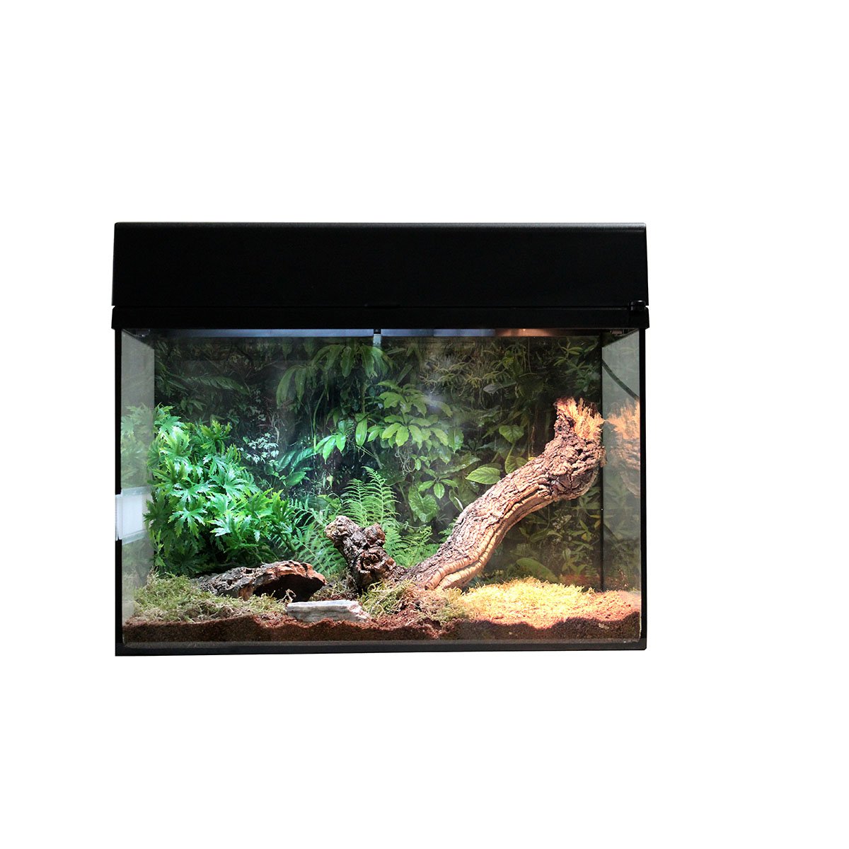 Lucky Reptile Terrarium Starter Kit 50 cm 'Spinne + Skorpion' schwarz
