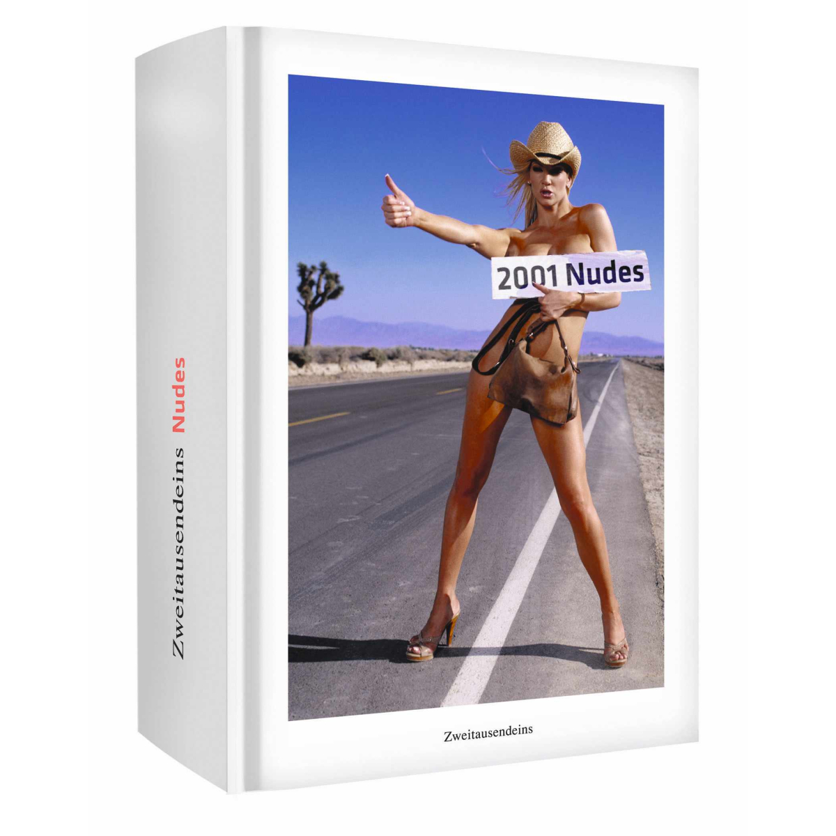 2001 Nudes.