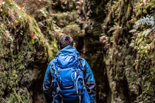 dozijn steno Sceptisch Jack Wolfskin Mode auf Rechnung • ganz einfach & sicher