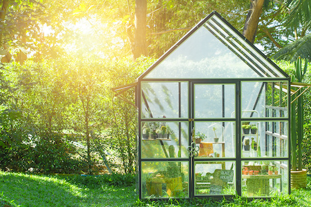 Gewächshaus auf Rechnung