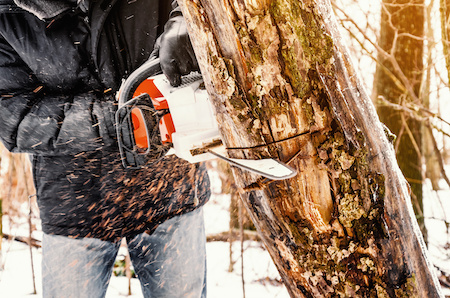 Kettensaege auf Rechnung bestellen