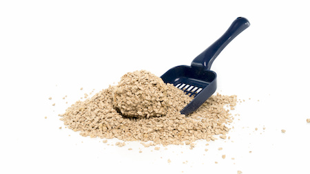 Katzenstreu Rechnungskauf