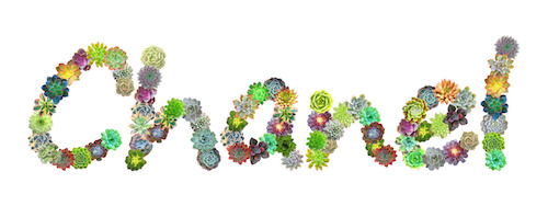 Chanel Rechnungskauf